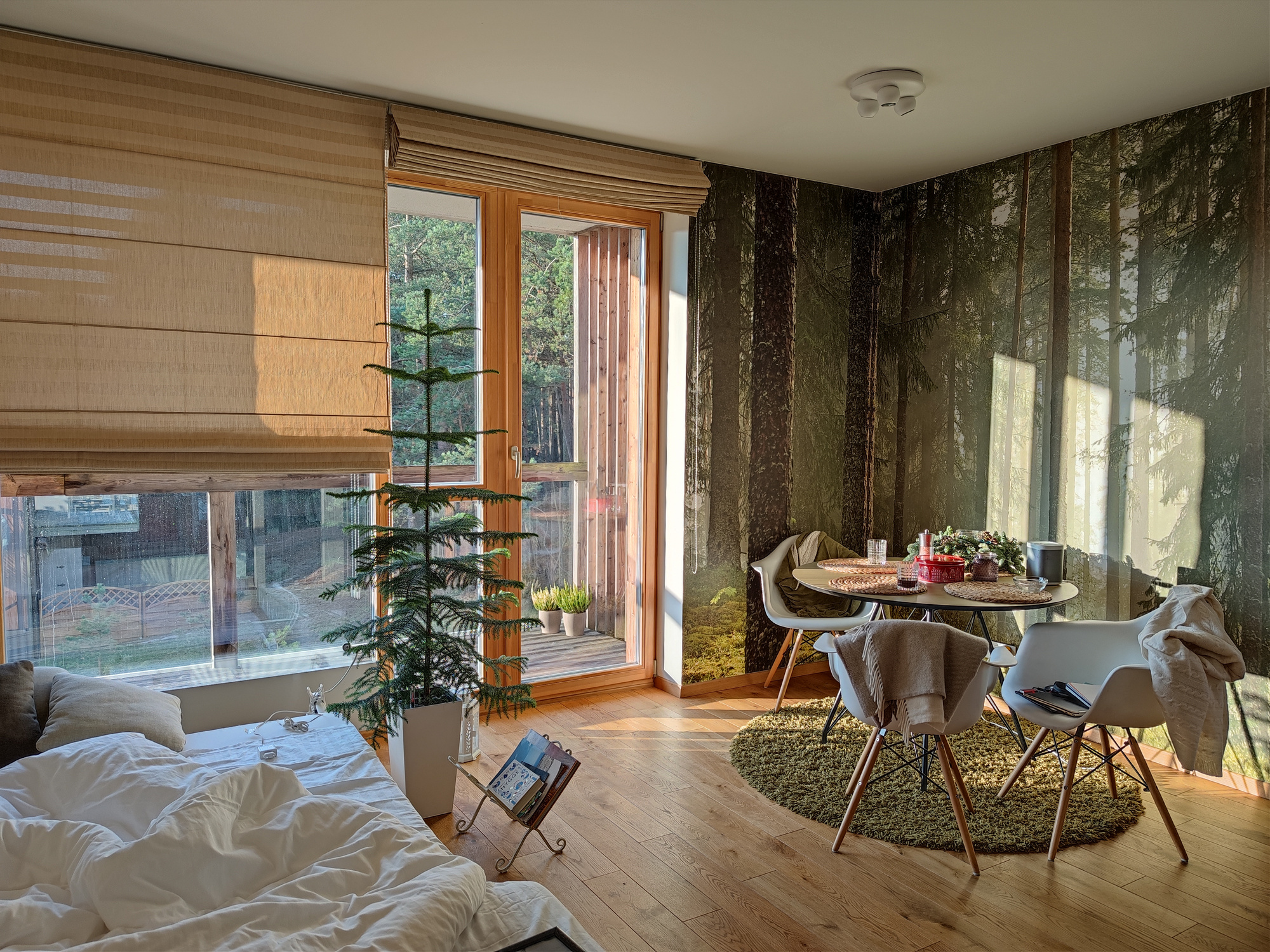 Sunlight Door and Window in a Cozy Home